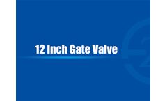 12 Inch Gate Valve
