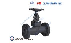 A105 Globe Valve