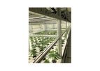 AErix - Model 1,130 PPFD - LED Grow Lights - Bloom