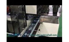 Industrial Cosmetic Box Wrapping Machine/ Cellophane Overwrapper Machine Video