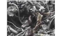 Sigma - Ferrous & Non-Ferrous Metals