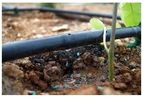 Azertexnolayn - Drip Irrigation Pipe