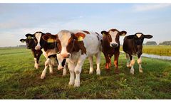 Common Questions and Answers for RFID Tags