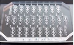 FlowJEM - Model PDMS - Microfluidic Devices