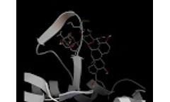 Interaction video between the protein 4NWC and GinsenosideRf - Video