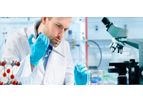 Biotechnology Research Training in Molecular Modeling