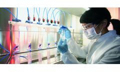 Molecular Biology Industrial Internship