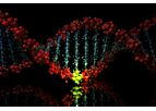 Sequencing Data Analysis Services