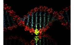 Sequencing Data Analysis Services