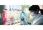 Bioinformatics Research Internship Program