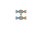Bioinformatics Consultancy Services