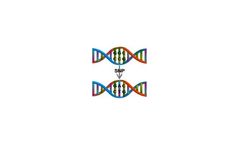 Bioinformatics Consultancy Services