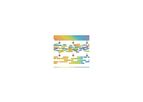 Genome Annotation Services