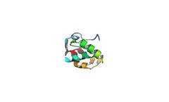 Protein Modelling Services