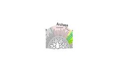 Phylogenetic Analysis Services