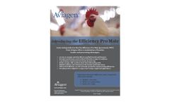 Aviagen - Model Pro - Male Broiler Breeder Brochure