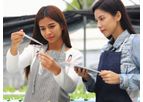 Hydroponic Consultancy Services