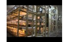 FIT GmbH Germany Video