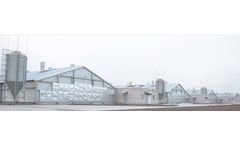 Golden Prime - Broiler Cages System