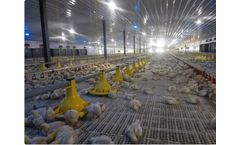 Golden - Broiler Floor System
