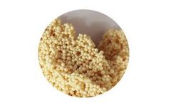 QingYun - Model WAMP30 - Macroporous Weak Base Anion Exchange Resin