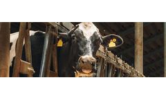 Software Solution for Animal Feed