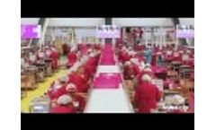 MARCO & Moyca Full Packhouse Installation Video