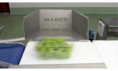 Marco - Version Trac-IT - Line Control Module (LCM)