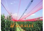 Agricolor - Photo-Selective Nets