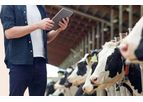 Folio3 - Dairy Record Keeping Software