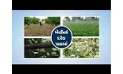 Bhumi polymers - Video