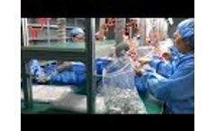 Workshop show Video