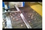batter bread crumb coating machine Video