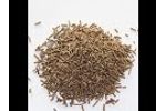 Fish feed machine line Video
