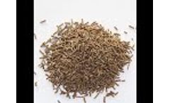 Fish feed machine line Video