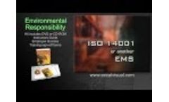 Environmental Responsibility and Management Systems