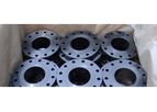 REGAL - Model ASTM A350 LF2 - Carbon Steel Flanges