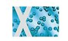 Lewatit - Model GF - Resins