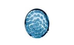 CNV - Microfine(Sea Island & Splittable) Fiber