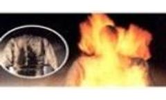 CNV - Meta Aramid Fiber