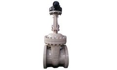 Domos - Cast Steel Gate Valve
