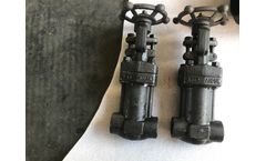 DMS - Model DMS WJ - FORGED STEEL BELLOW SEALED GLOBE VALVE