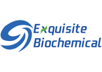 Exquisite - Model B12 - Vitamin