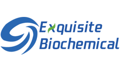 Exquisite - Model B12 - Vitamin