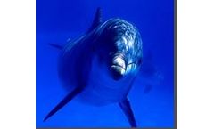 Ultraviolet Light (UV) Disinfection System for Marine & Aquarias