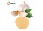 Garlic Powder