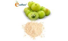 Amla Powder