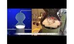 Koi Pond Filter System Video