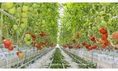 HL08 Horti-Tube LED Grow Light Video