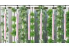 Horti-Tube - Model HL08-40 - LED Interior Lighting